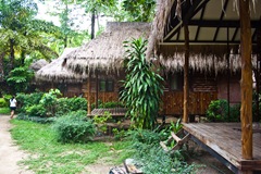 Nature Beach view