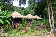 Oasis Koh Chang view