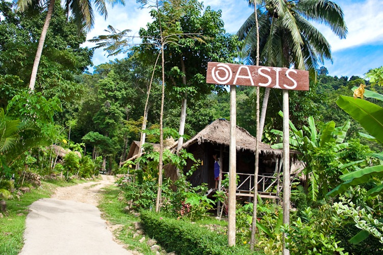 Oasis Lonely Beach