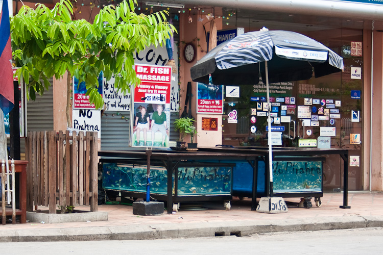 Fish Massage в Сием Рипе, Камбоджа