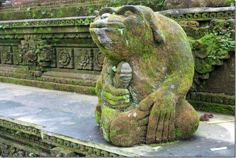 Ubud monkey forest on Bali