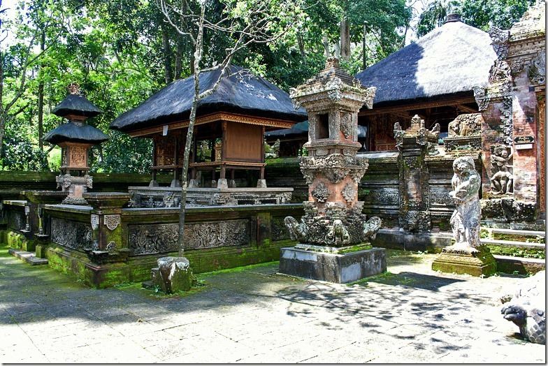 Ubud monkey forest on Bali