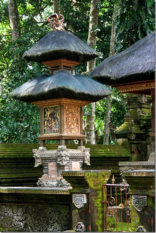 Ubud monkey forest on Bali
