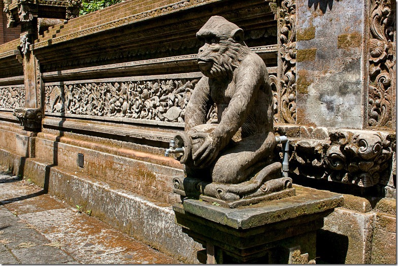 Ubud monkey forest on Bali