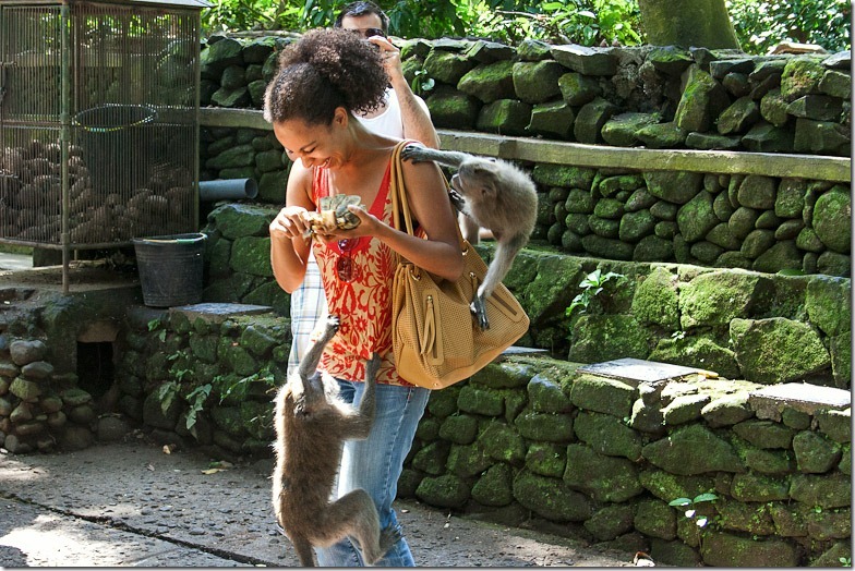 Ubud monkey forest on Bali