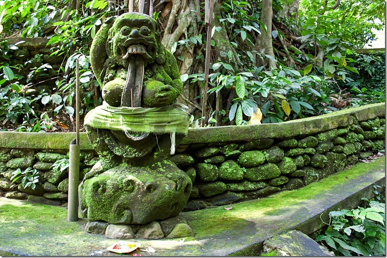 Ubud monkey forest on Bali